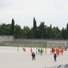 I gialloblù sempre vittoriosi al Comunale in campionato