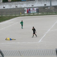 I gialloblù sempre vittoriosi al Comunale in campionato