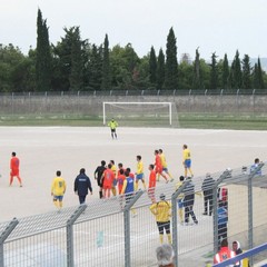 I gialloblù sempre vittoriosi al Comunale in campionato