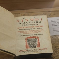 Mostra sui Sinodi