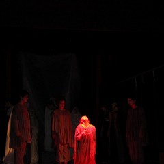 L'opera di Antigone