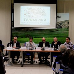 Tavolah2ora