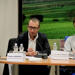 Tavolah2ora