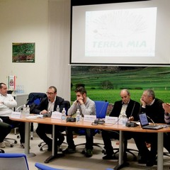 Tavolah2ora