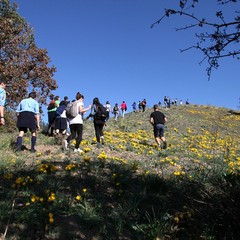 trekking culturale