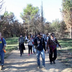 trekking culturale