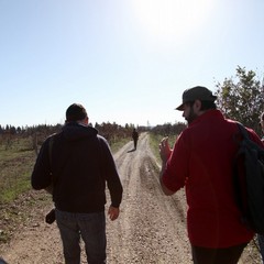 trekking culturale