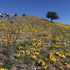 trekking culturale