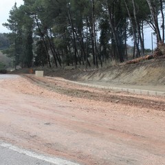 Pista ciclabile bosco