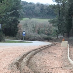 Pista ciclabile bosco