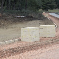 Pista ciclabile bosco