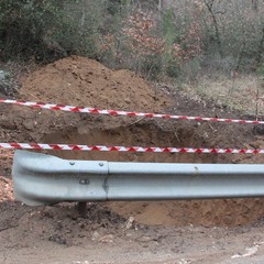 Pista ciclabile bosco