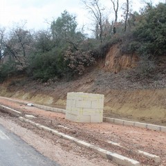 Pista ciclabile bosco