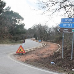 Pista ciclabile bosco