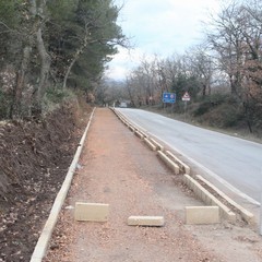 Pista ciclabile bosco