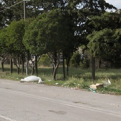 Degrado parcheggio fiera