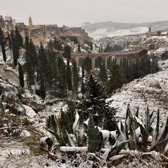 Pietro Amendolara, La forza della natura è la forza della città