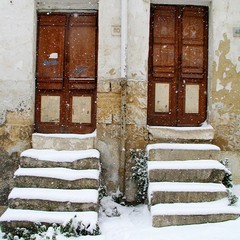 Francesca D'Erario, Neve