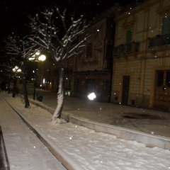 Cosimo Cignola, Neve in piazza Scacchi