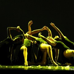 ATTITUDE BALLET esibizione del saggio di fine anno "LO SCHIACCIANOCI "