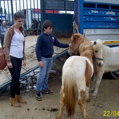 Fiera degli animali 2013