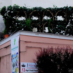 I balconi più belli
