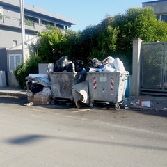 Rifiuti in zona Pip 2014