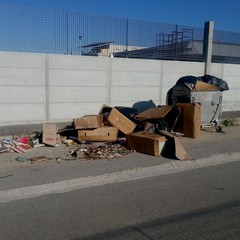Rifiuti in zona Pip 2014