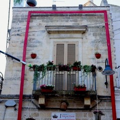 Secondo classificato Associazione Bosco città