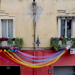 Terzo Classificato Coveri Colours