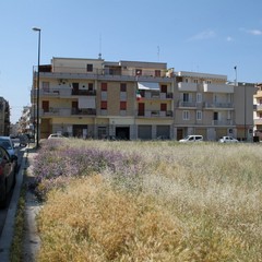 Degrado del campetto