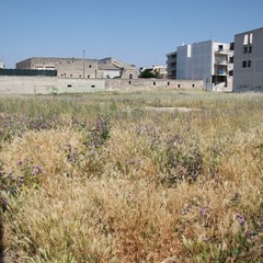 Degrado del campetto