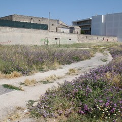 Degrado del campetto