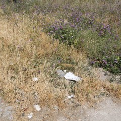 Degrado del campetto