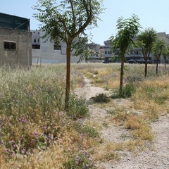 Degrado del campetto