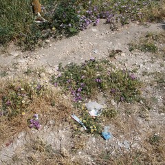 Degrado del campetto