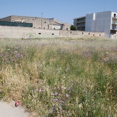 Degrado del campetto