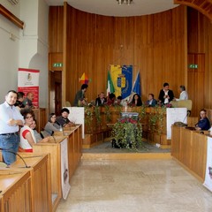 conferenza stampa balcioni