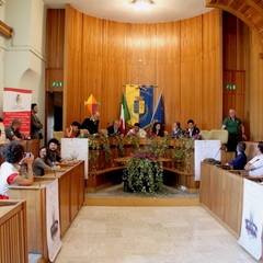 conferenza stampa balcioni