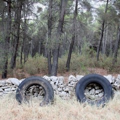 Parco o discarica?