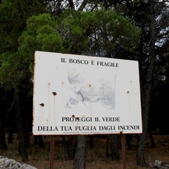 Parco o discarica?