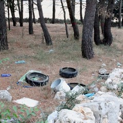 Parco o discarica?