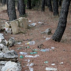 Parco o discarica?