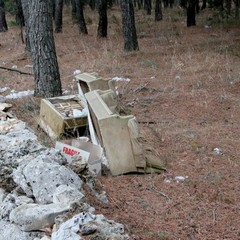 Parco o discarica?