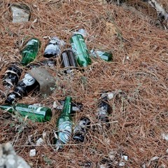 Parco o discarica?