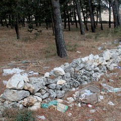 Parco o discarica?