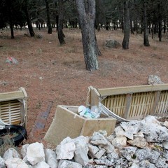 Parco o discarica?