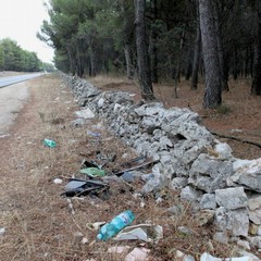 Parco o discarica?