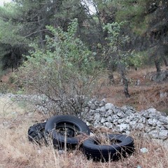 Parco o discarica?