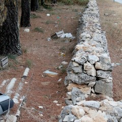 Parco o discarica?